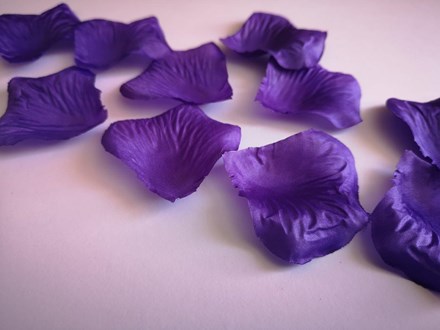 Purple Scatter Petals Purple-Scatter-Petals