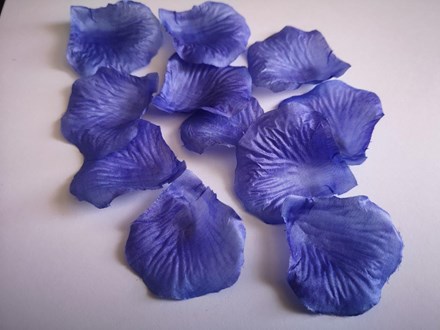 Iris Silk Scatter Petals Iris-Silk-Scatter-Petals