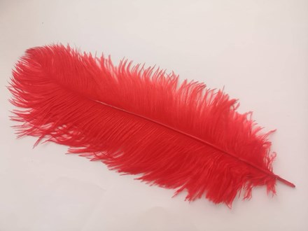 Ostrich Feathers 40-45cm Red Singles OFR40