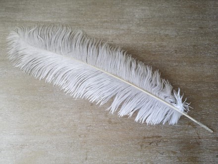 Ostrich Feathers 30-35cm Singles OFW35