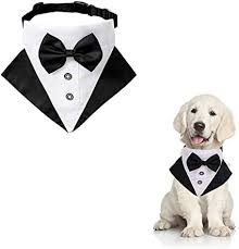 Dog Tuxedo Collar Small DTCS1