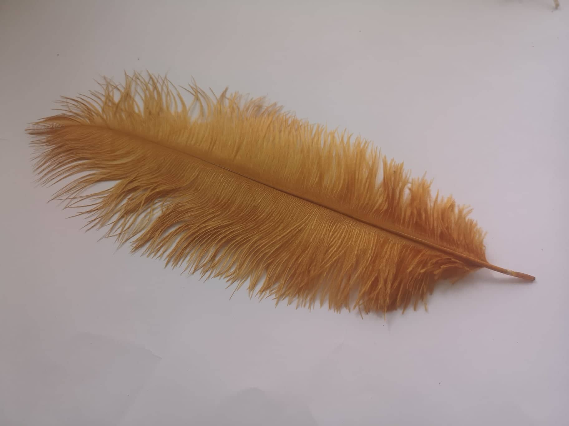 Ostrich Feathers Gold 40-45cm Ostrich-Feathers-Gold-40-45cm