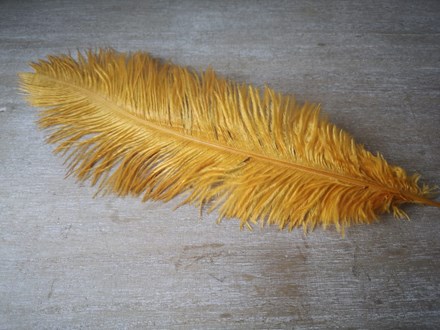 Ostrich Feathers Gold 40-45cm Ostrich-Feathers-Gold-40-45cm