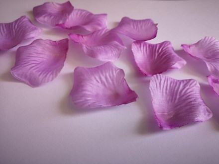 Light Purple Scatter Petals Light-Purple-Scatter-Petals