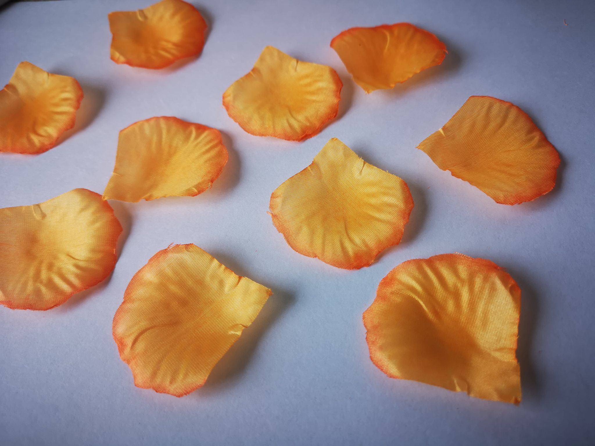 Double Orange Scatter Petals DOP02