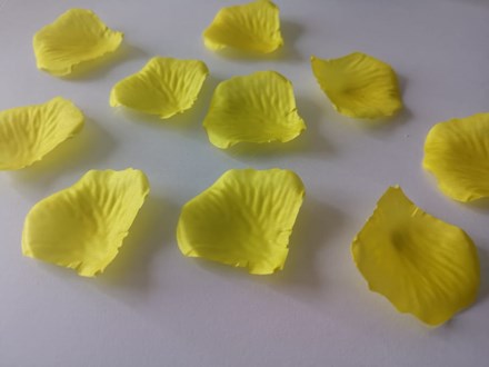 Yellow Rose Petals SP033